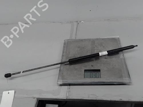 Used Hood lift support RENAULT MEGANE III Hatchback (BZ0/1_, B3_) 1.5 dCi (BZ09, BZ0D, BZ1W, BZ29, BZ14) (110 hp) 21364074