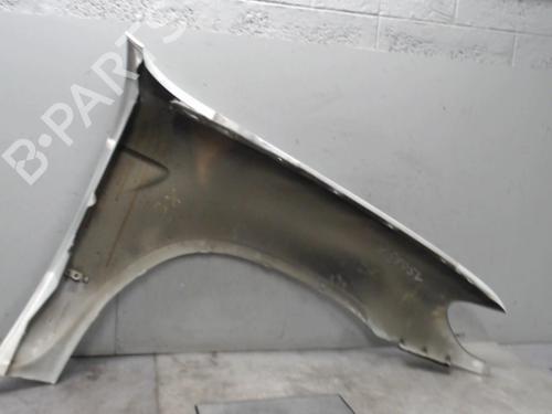 Left front fenders BMW X5 (E53) 3.0 d | BP21299787C41 