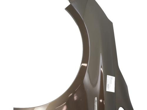 Guarda-lamas esquerdo CITROËN C4 II (NC_) 1.6 HDi 115 (114 hp) 30295263