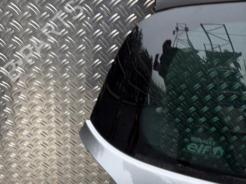 Tailgate RENAULT CLIO III (BR0/1, CR0/1) 1.5 dCi (C/BR0G, C/BR1G) | BP30886023C6