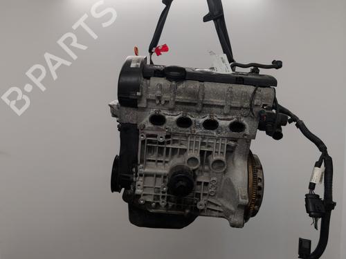 Motor SKODA FABIA II Combi (545) 1.4 (86 hp) 25871960