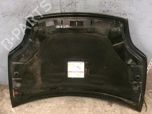 Hood FIAT BRAVO II (198_) 1.9 D Multijet (198AXC1B) | BP21300195C1