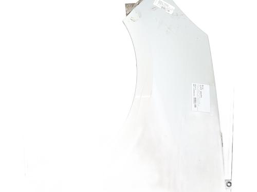 Used Left front fenders RENAULT SCÉNIC III (JZ0/1_) 1.5 dCi (JZ02, JZ0R) (95 hp) 27733197