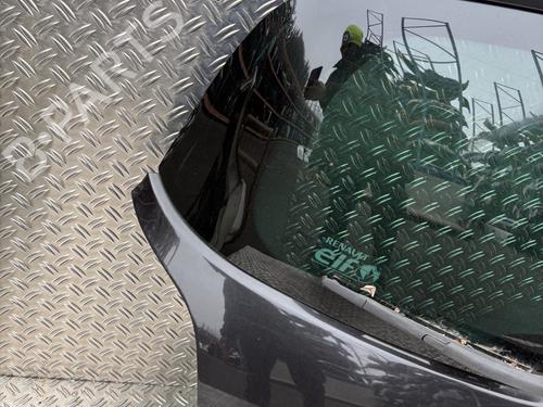 Tailgate RENAULT CLIO III (BR0/1, CR0/1) 1.2 16V Hi-Flex (BR1U, CR1U) | BP30078137C6