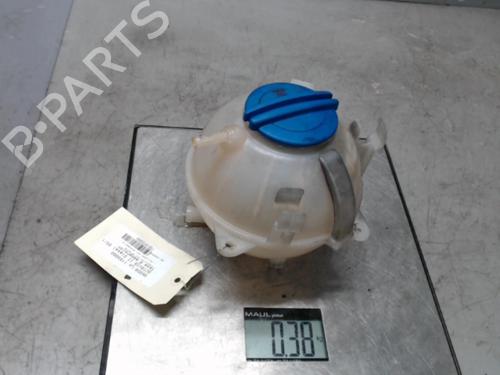 Used Expansion tank SKODA OCTAVIA II (1Z3) 1.9 TDI (105 hp) 21294807