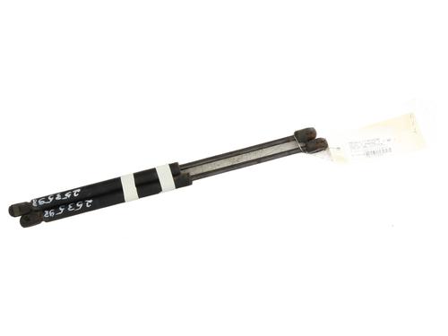 tailgate-lift-support-renault-clio-ii-hatchback-van-sb012_-1998-29150546 main image