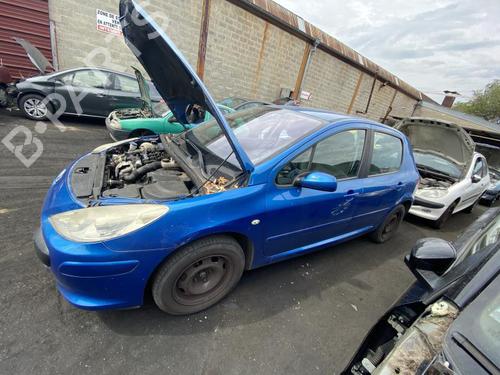 Hood PEUGEOT 307 (3A/C) 1.6 HDi | BP21312873C1 