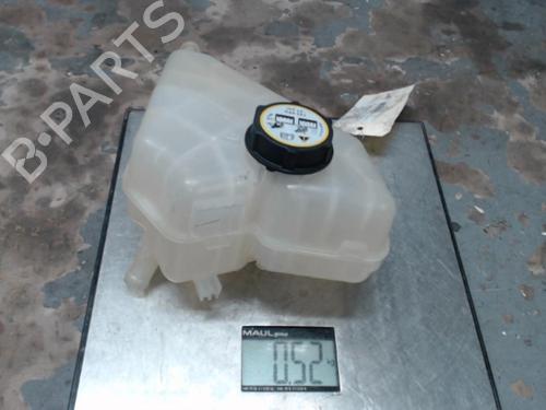 Expansion tank FORD FIESTA VI (CB1, CCN) 1.6 TDCi | BP21296882C120 