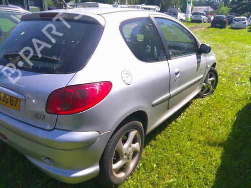 Steering pump PEUGEOT 206 Hatchback (2A/C) 1.4 16V | BP21319580M99 