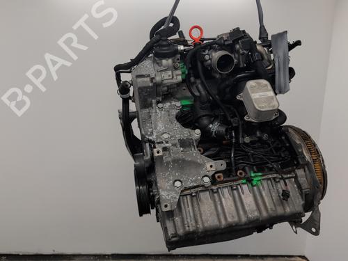 Engine VW GOLF VI (5K1) 2.0 TDI | BP28797595M1
