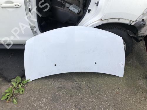 Used Hood RENAULT CLIO III (BR0/1, CR0/1) 1.5 dCi (75 hp) 21304884