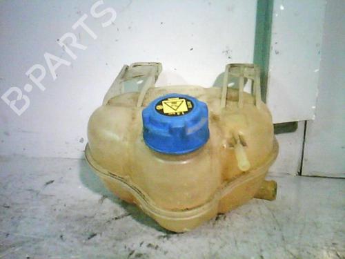 Used Expansion tank FIAT GRANDE PUNTO (199_) 1.2 (65 hp) 21366551