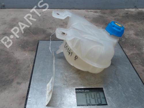 Expansion tank FIAT DOBLO Cargo (263_) 1.6 D Multijet (263WXD1B, 263WXR1B, 263WXX1B, 263ZXD1B,... | BP21314878C120
