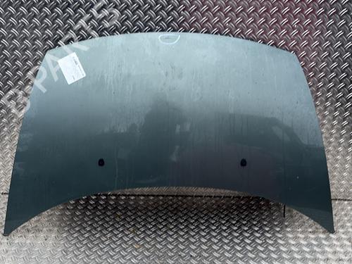 hood-citroen-c3-i-fc_-fn_-2002-2003-2004-2005-2006-2007-2008-2009-2010-2011-2012-2013-30761662 main image