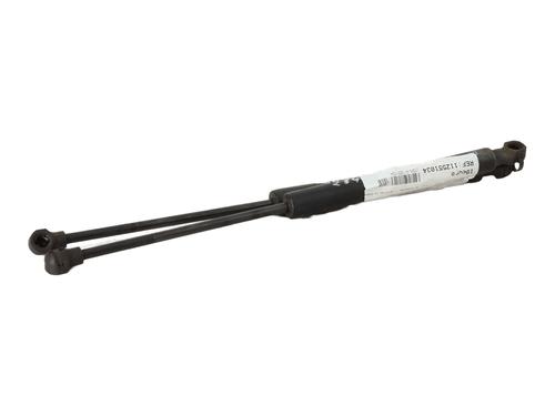 hood-lift-support-renault-kangoo-express-fw01_-2008-29202605 main image