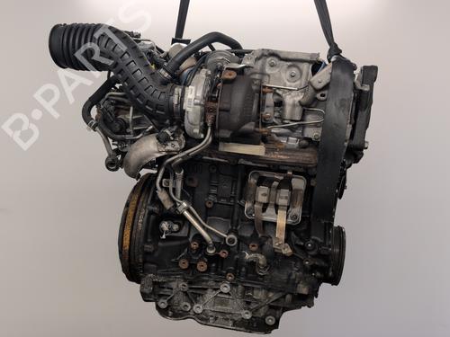 Engine RENAULT KOLEOS I (HY_) 2.0 dCi 4x4 (HY0K) | BP26582451M1 - Image 4