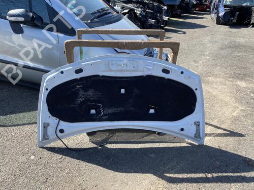 Used Hood RENAULT CLIO III (BR0/1, CR0/1) 1.5 dCi (75 hp) 21367709