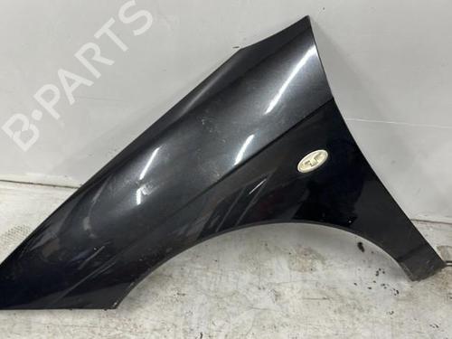 Left front fenders CITROËN C6 (TD_) 2.2 HDi | BP21305237C41 