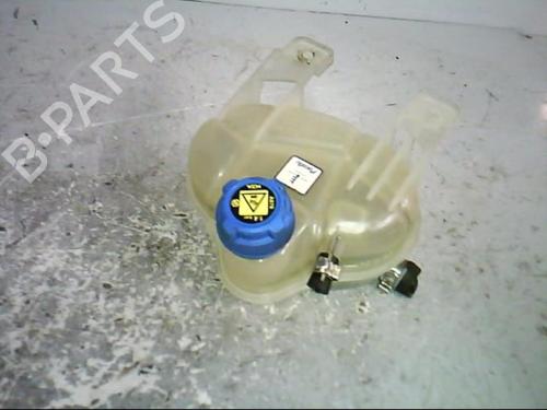Expansion tank FIAT GRANDE PUNTO (199_) 1.2 | BP21367054C120