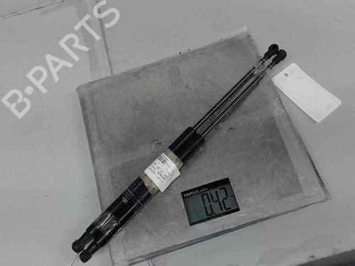 Tailgate lift support FIAT GRANDE PUNTO (199_) 1.2 | BP21365475C138 
