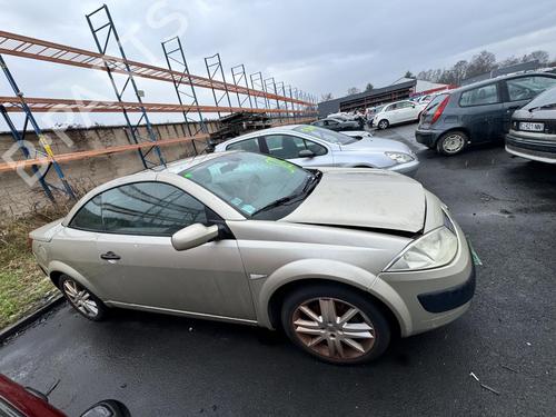 Left front fenders RENAULT MEGANE II Coupé-Cabriolet (EM0/1_) 1.6 | BP21308616C41 