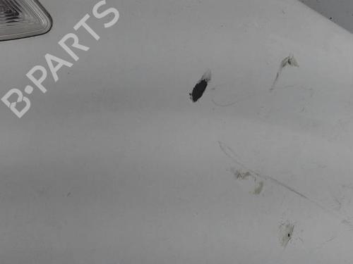 Used Right front fenders Right front fenders RENAULT KANGOO Express (FW0/1_) 1.5 dCi 70 (FW0A, KW0V) (68 hp) 21300391 21300391