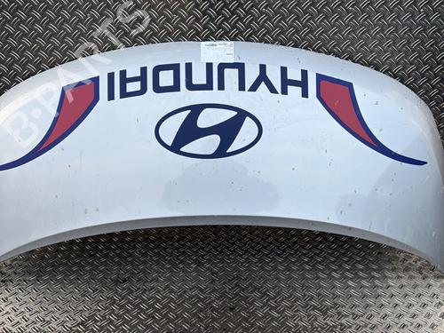 Used Hood HYUNDAI H-1 Cargo (TQ) 2.5 CRDi (170 hp) 23814471