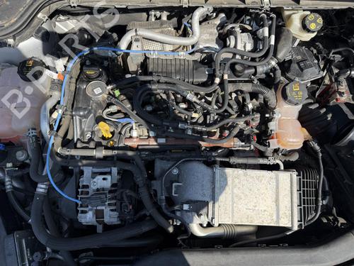 Engine FORD FOCUS IV (HN) | BP26615679M1 - Image 20
