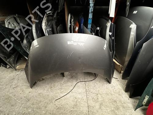 Used Hood RENAULT SCÉNIC III (JZ0/1_) 1.5 dCi (106 hp) 21372031