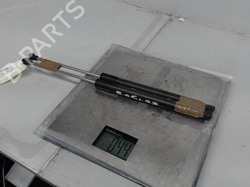 Used Tailgate lift support RENAULT CLIO III (BR0/1, CR0/1) 1.5 dCi (BR17, CR17) (86 hp) 21367068