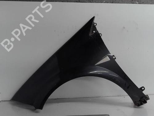 Left front fenders RENAULT MEGANE II (BM0/1_, CM0/1_) 2.0 dCi (BM1K, CM1K) | BP21320879C41 