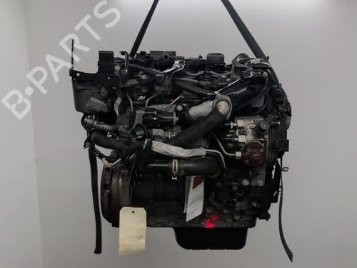 Engine FORD FIESTA VI (CB1, CCN) 1.5 TDCi | BP30647849M1