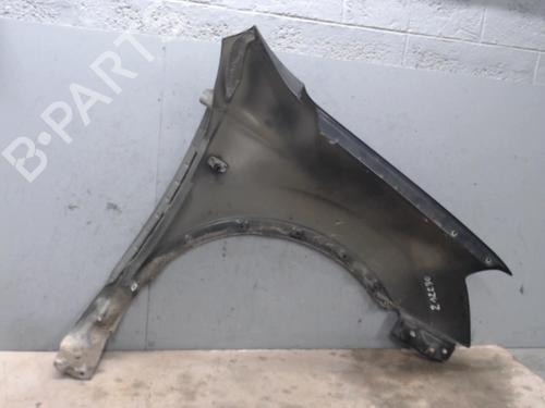 Left front fenders NISSAN QASHQAI / QASHQAI +2 I (J10, NJ10, JJ10E) 1.5 dCi | BP21307796C41 