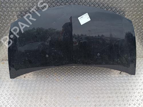 Used Hood RENAULT CLIO III (BR0/1, CR0/1) 1.2 16V Hi-Flex (BR1U, CR1U) (75 hp) 26294597