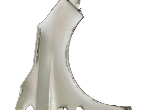 Left front fenders CITROËN C4 II (NC_) 2.0 HDi / BlueHDi 150 | BP28134739C41 