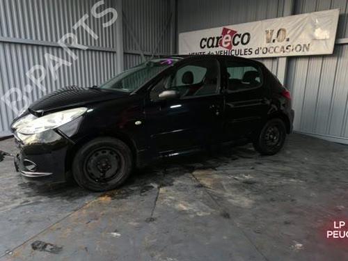 Steering pump PEUGEOT 206+ (2L_, 2M_) 1.1 | BP31371346M99 