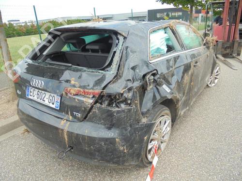 Left front window switch AUDI A3 (8V1, 8VK) 1.6 TDI | BP21366258I27 - Image 10