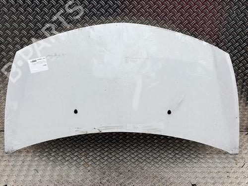 Used Hood RENAULT CLIO III (BR0/1, CR0/1) 1.2 16V Hi-Flex (BR1U, CR1U) (75 hp) 30482843
