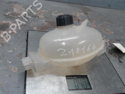 Expansion tank RENAULT MASTER III Platform/Chassis (EV, HV, UV) 2.3 dCi 145 RWD (UV0F, UV0E, HV0E, HV0F, HV0T, HV10,... 217100015R