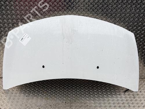 hood-renault-clio-iii-br01-cr01-2005-2006-2007-2008-2009-2010-2011-2012-2013-2014-31019362 main image