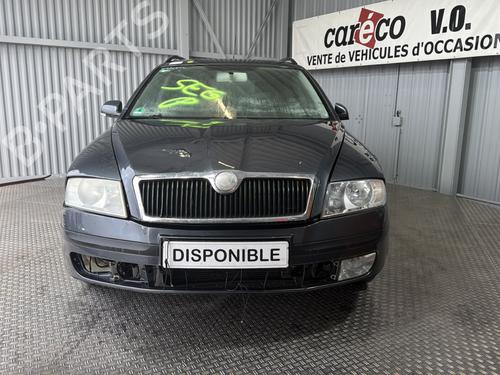 Steering column stalk SKODA OCTAVIA II Combi (1Z5) 1.9 TDI | BP32069305I23 