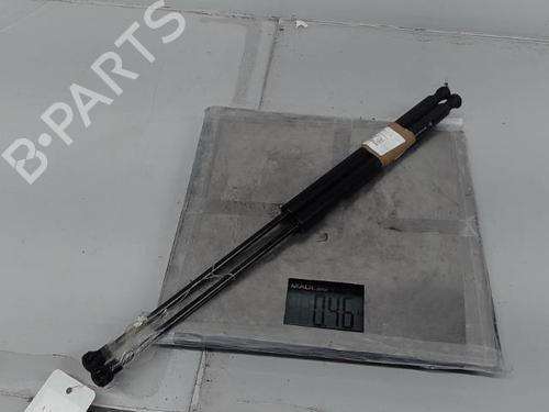 Hood lift support RENAULT VEL SATIS (BJ0_) 2.2 dCi (BJ0E, BJ0F) | BP21369079C139 