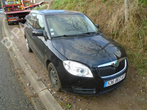 Right mirror SKODA FABIA II (542) 1.4 TDI | BP21313283C27 
