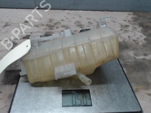 Expansion tank RENAULT KANGOO / GRAND KANGOO II (KW0/1_) 1.5 dCi 70 (KW0V, KW0A) | BP21308017C120 