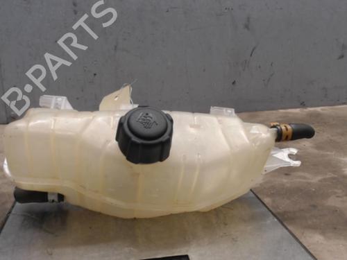 Used Expansion tank RENAULT CLIO III (BR0/1, CR0/1) 1.5 dCi (BR17, CR17) (86 hp) 21301723