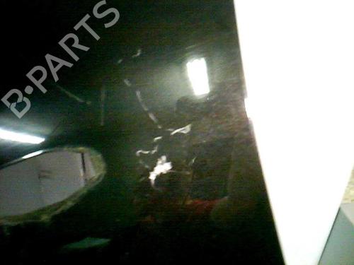 Left front fenders NISSAN ALMERA II Hatchback (N16) 1.5 | BP21366497C41 