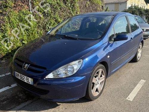 Tailgate lift support PEUGEOT 307 (3A/C) 2.0 HDi 110 | BP29371741C138