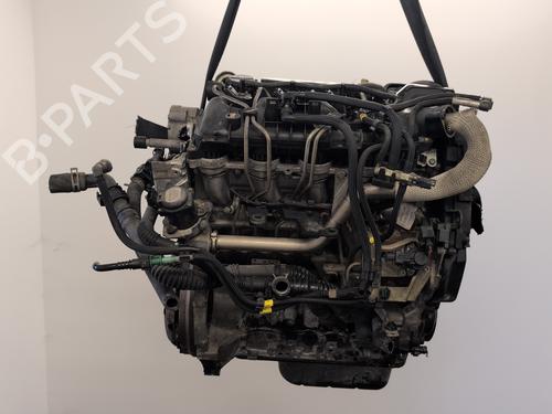 Motor Motor FORD FIESTA V (JH_, JD_) [2001-2014] 33826809 33826809
