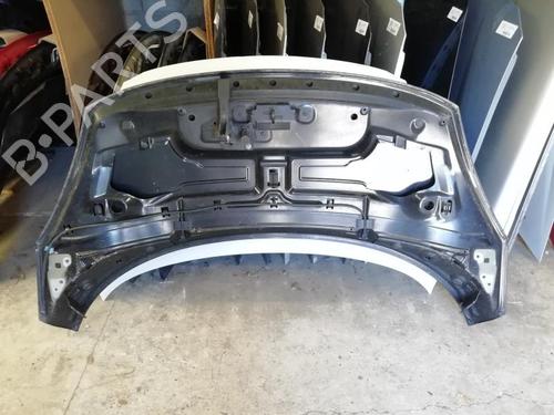 Used Hood RENAULT SCÉNIC III (JZ0/1_) 1.5 dCi (106 hp) 21305832