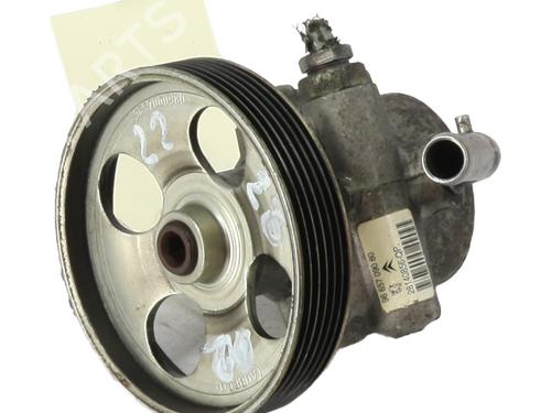 Stuurbekrachtiging pomp PEUGEOT 3008 I MPV (0U_) 1.6 HDi (114 hp) 21291842